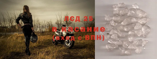 СК Медвежьегорск