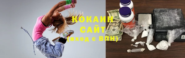 крисы Мегион