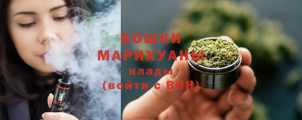 крисы Мегион