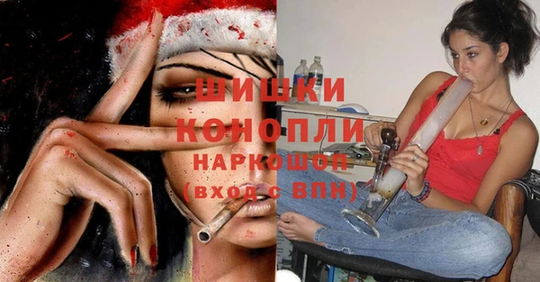 СК Медвежьегорск