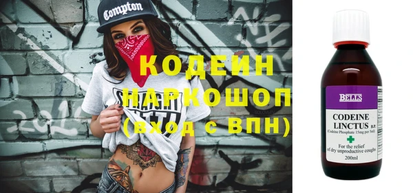 крисы Мегион