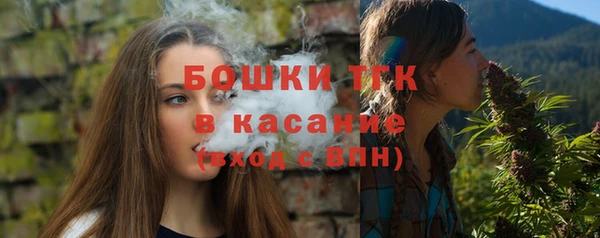 крисы Мегион