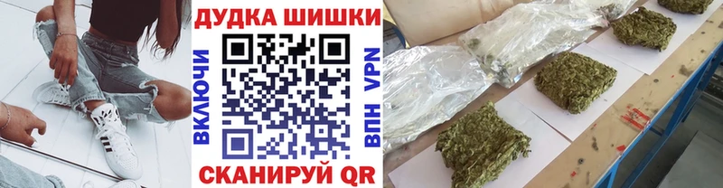 Бошки марихуана конопля  где продают наркотики  Терек 